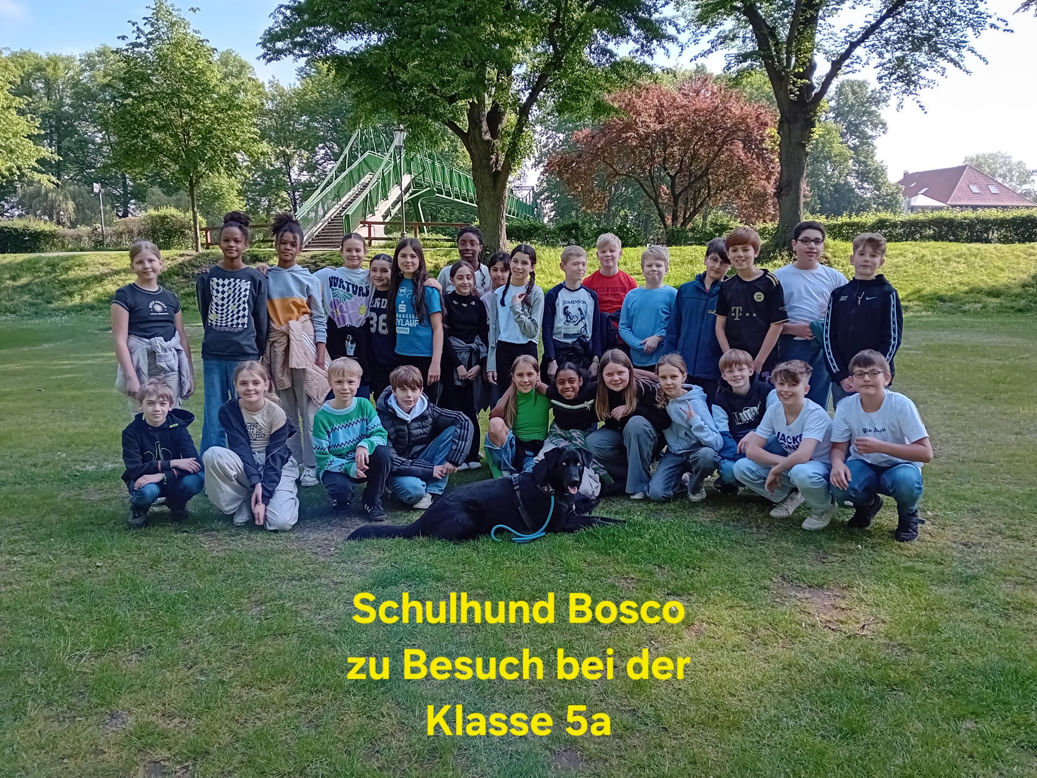 Mehr über den Artikel erfahren Willkommenstag für Schulhund Bosco