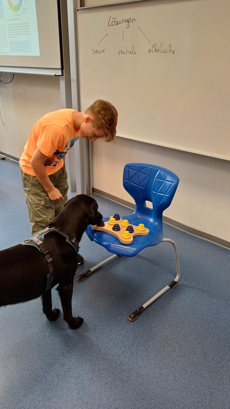 Mehr über den Artikel erfahren Bosco hat seine Schulhundausbildung abgeschlossen!