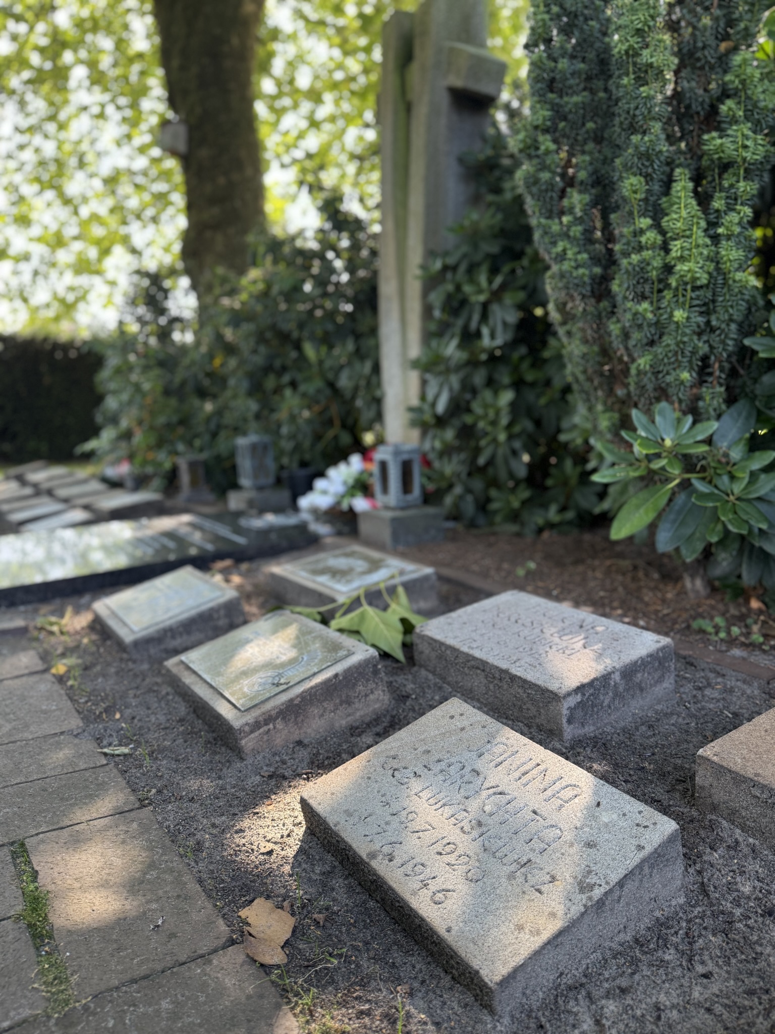 Mehr über den Artikel erfahren Gedenkveranstaltung am polnischen Gräberfeld auf dem katholischen Friedhof in Meppen
